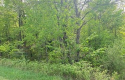 FRIBOURG DRIVE, REED CITY, MI 49677