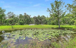 Beach Road, Perry, FL 32348