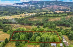 176 FLYAWAY Rd, CastleRock, WA 98611