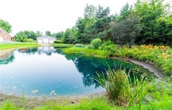 4667 Montgomery Road, Burnside Twp, MI 48453