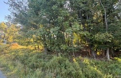 Highview Avenue, Liberty, NY 12754