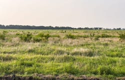 ELM BRANCH lot: 17, Elm Mott, TX 76640