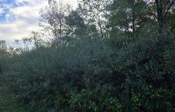 6 Durham Woods Road, Durham, NY 12422