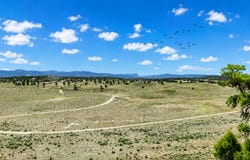 Chama W, Chama, NM 87520