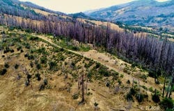 1581 Marshall Rock Rd, Ruth, CA 95526