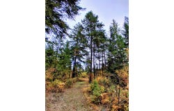 706 mccammon Rd, Elk, WA 99009