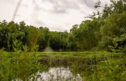 1017 Insemore Road, MS 39086