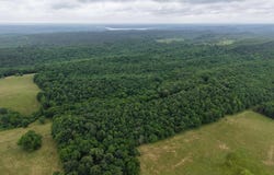 80 Thousand Road, Gillham, AR 71841