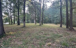 Anderson Dr, PARIS, TN 38242