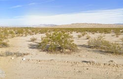 74687 El Paseo Drive, 29 Palms, CA 92277