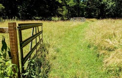 169 E Vineyard Road, Hayesville, NC 28904