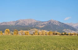 1753 Foxtail Drive, Driggs, ID 83422