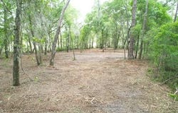 LOCUST RUN Course, OCALA, FL 34472
