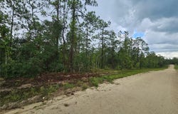 231 SE 146TH Terrace, WILLISTON, FL 32696