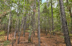 3590 Co Rd 38, Jemison, AL 35085