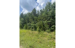 RED TAIL HAWK DRIVE lot: 30, Stevens Point, WI 54482