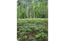 2751 Boughner Lake Road, Prescott, MI 48756