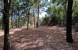 7412 Pierce Road, Ozark, AR 72949