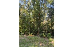 NE 667th St, Old Town, FL 32680
