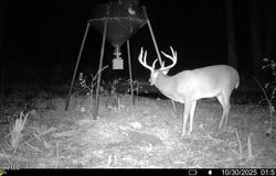 Highway 12, Tchula, MS 39169