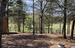412 Baldknobber Drive, Branson West, MO 65737
