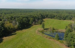 21446 State Highway FF, Livonia, MO 63551