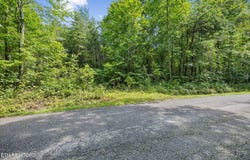 Ridge Rd, Lancing, TN 37770