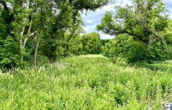 VL BRAIDWOOD PARCEL 3 Road, Riley, MI 48041
