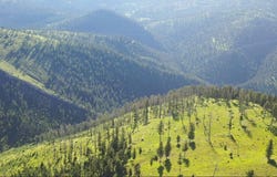 5 Tract, Garnet Range, Drummond, MT 59825