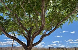 2675 Geronimo Trail, Landers, CA 92285