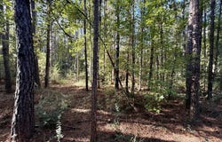 47 Mose Hilliard Road, Sontag, MS 39665