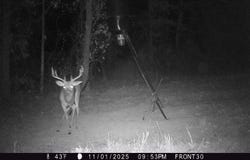 80 N4130 rd., Antlers, OK 74523