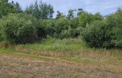 Granite & Academy (County CA) Avenue, Tomah, WI 54660