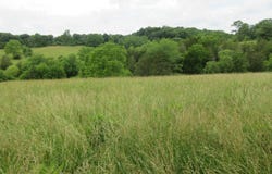 Dewitt Road, Moores Hill, IN 47032