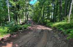 ON PARDEE LAKE RD, Oma, WI 54534
