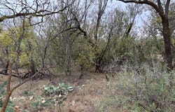 Jefferson St, Loraine, TX 79532