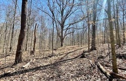 State Ferry Road, Solsberry, IN 47459