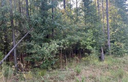 xx 1 & 2 Rosboro Loop, Amity, AR 71921