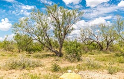 lot: Ab855, Talpa, TX 79567