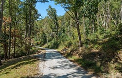 6 Pioneer Lane, Hendersonville, NC 28792