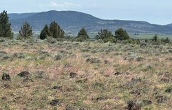 Rim Drive, Sprague River, OR 97639