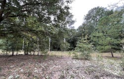 Warbonnet Road, Salley, SC 29137