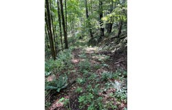 Gibson Rd, Hancock, NY 13783
