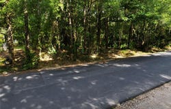 119 SANDI Street, INGLIS, FL 34449