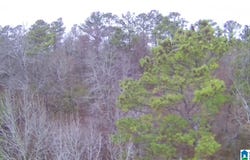100 PLEASANT VALLEY DRIVE lot: 1, BIRMINGHAM, AL 35217