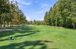 586 Woodside Lane, Gaylord, MI 49735