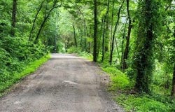 0 Independence RD, Natural Dam, AR 72948