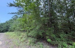 32531 Nicklaus Drive, Brookeland, TX 75931