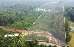 13.4 Acs Chestnut Road, Nathalie, VA 24577