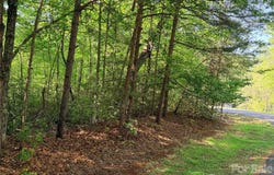 Mcdaniel Court, Lake Lure, NC 28746